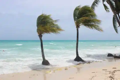 Boracay in low season may not have the perfect weather, but it still has its charm and advantages. You can also witness the power and beauty of nature, as the wind and rain create dramatic scenes on the beach.