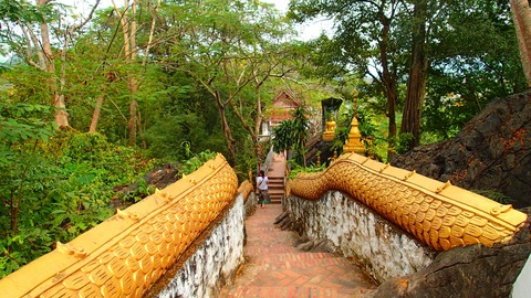 Finding serenity amidst the lush greenery on the trek to Mount Phou Si.